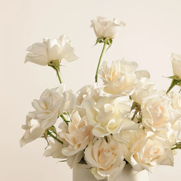 Charming White Rose Box
