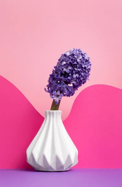 Lotus Blossom Fragrance